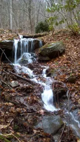 Bears Den Cottage - Image 5