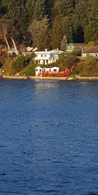 Vashon Clam Cove Cottage Waterfront with Views - Image 3