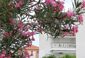 FabianoLux Apartment - Image 2