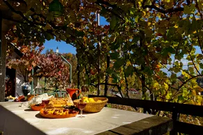 Vineyard Cottage Vercek - Image 5