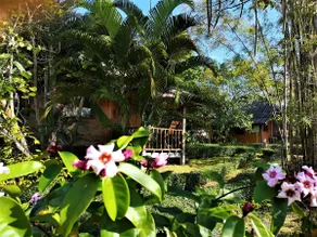 Nok Kow (Dove) Bungalow 1 - Image 3