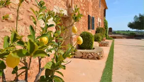 Sa Pleta - Only 5 minutes from the Rafa Nadal Sports Centre - Image 4