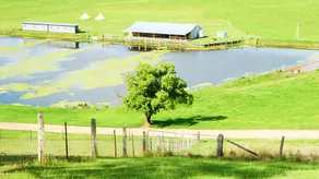 Yabbaloumba Retreat - Image 5