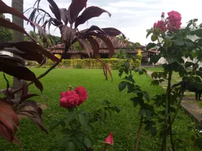 Chácara Guaratiba - Image 2