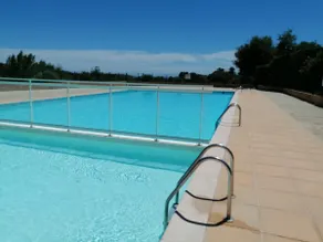 The palm trees at La Croix-Valmer - Image 3