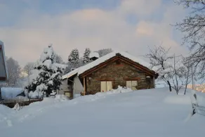 Cabin with fenced garden - Image 3