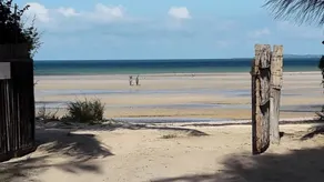 COCONUT BEACH COTTAGE - Image 3