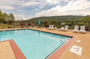 Fabulous Mountain-view Condo Hike & Destress - Image 5