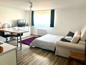 House near Basel/Mulhouse airport - Image 2