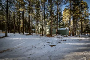 Spacious Angel Fire Cabin Near Skiing, Hiking, and Fishing - Image 3