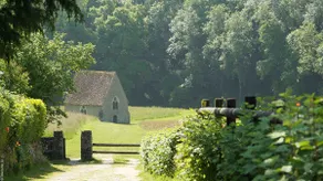 Cozy cottage, views of castle and grove - Image 2