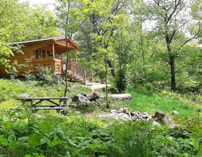 Pet Friendly Escarpment Hideaway | Lakeviews - Image 2