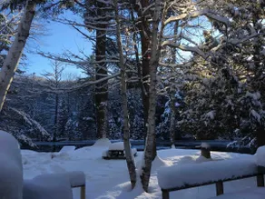 SIMS Cozy Muskoka River Cabin - Image 3