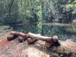 Sítio do Lobato. Preserving is up to us! - Image 2