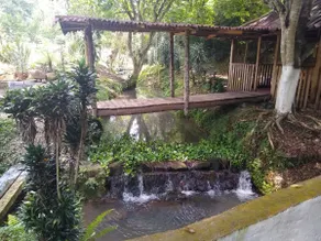 Los Migueles - Image 4