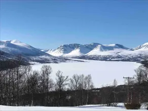 Fjellro - Image 2