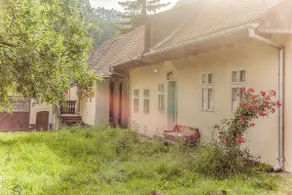 Experience Transylvania Mălâncrav 297A - Image 2