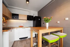 Elegant apartment by Lake Czos - Image 5