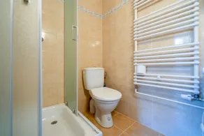 Čejkovice apartment - Image 3