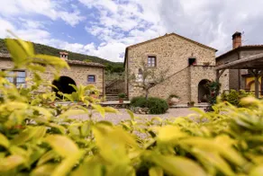 San Martino agli Ulivi - Image 3