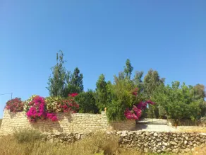 Mikros Paradisos - Image 2