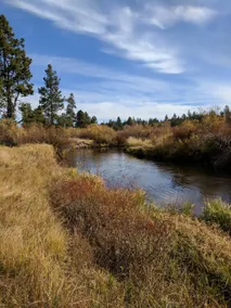 Little Deschutes Cabin - Clean & Quiet Get-Away - Image 5