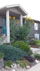 Sunflower Suite - Image 2