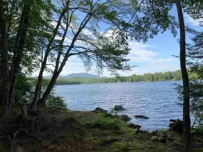 Little House on the Lake in the Forest - Image 2
