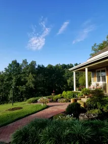 CountryParadise, private 50 acres-Hot Tub-Fire Pit - Image 4
