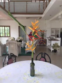 Kendi's Beach Garden - Image 4
