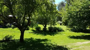 Between Villarrica and Pucón !! - Image 5
