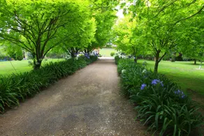 Toscana on Greenhills - Image 4