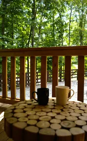 Cabin w/boat parking 5 mins to State Park & golf - Image 3