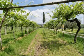 Fogolar Della Valpolicella - Image 4