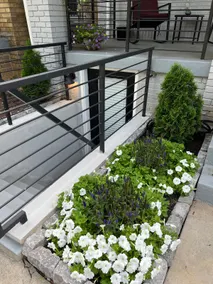 Upscale new apt w/ modern comforts - Image 3