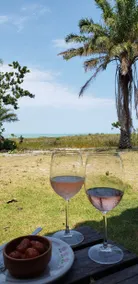 Fazenda Bom Sossego - Corumbau, BA - Image 5
