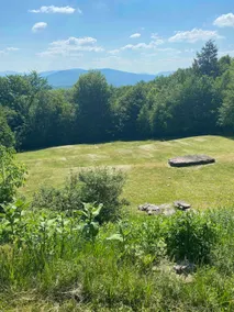 Mountain Top Cabin- Quiet- Wildlife- Mountain View - Image 3