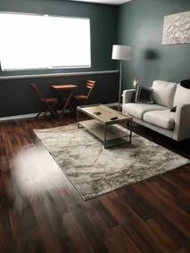 Renovated Apartment In Ottawa - Image 4