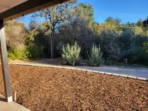Lovely 2 Room Suite near Yosemite Bass Lake - Image 4