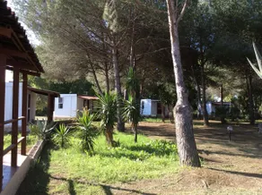 Charming Bungalow Surrounded by Nature in Cabras - Image 4
