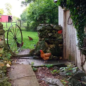The Firefly Cottage - Image 4