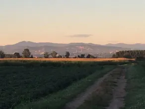 Quiet house in the green of the Po Valley costa de' Nobili pv - Image 4