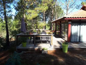 Villa per vacanze sotto i pini - Image 3