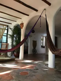 The Tropical Jungle Oasis in Cancun - Image 4