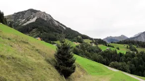 Vacation home in the Großes Walsertal Biosphere Reserve - Image 3