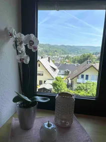 Vacation home in Adenau town at the Nürburgring - Image 5