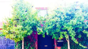 Charming and Spacious Villa - Full Floor (130 m²) - Image 4