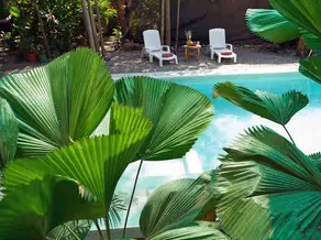 Paradise Surf Lodge Santa Teresa - Image 4