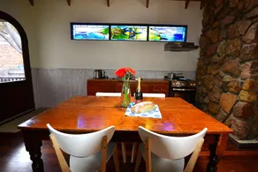 Dolphin Suite - Image 4