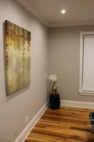 BELMONT DESIGNER APARTMENT- CVILLE CHARM - Image 5
